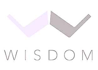 Wisdom Audio — premium home cinema speakers